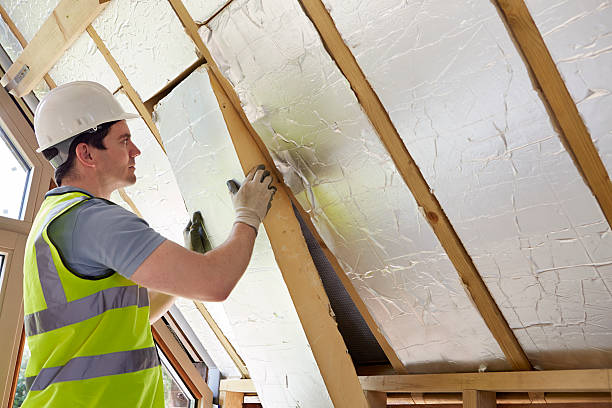 Best Commercial Insulation in Springfield, GA