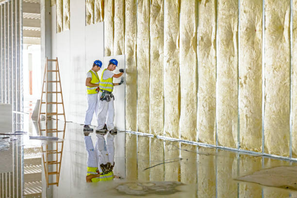 Best Insulation Maintenance and Repair in Springfield, GA